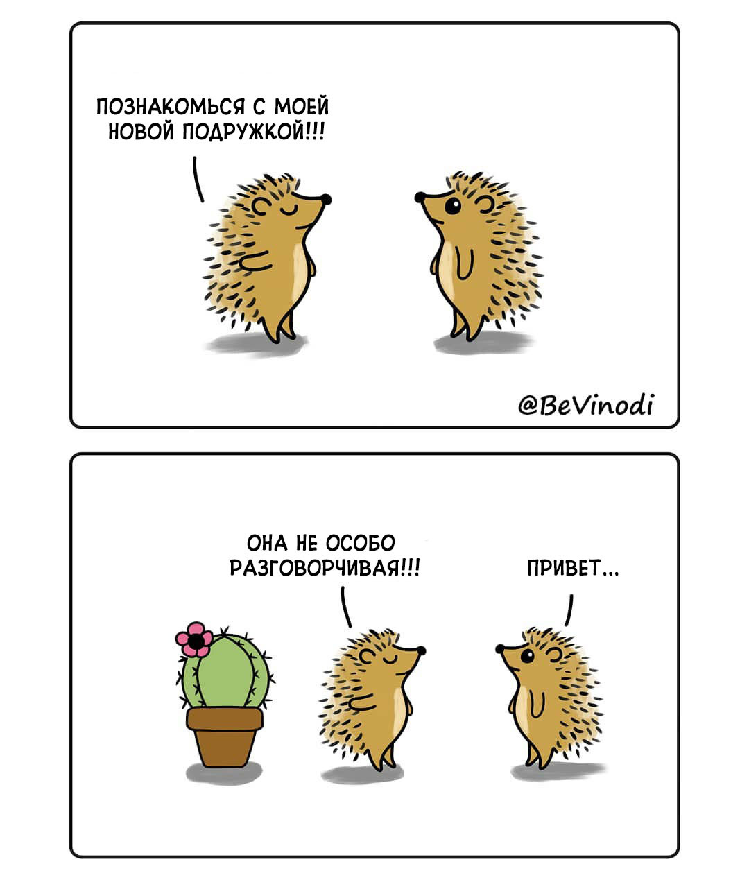 Hedgehog and cactus - Bevinodi, Comics, Hedgehog, Cactus, Longpost