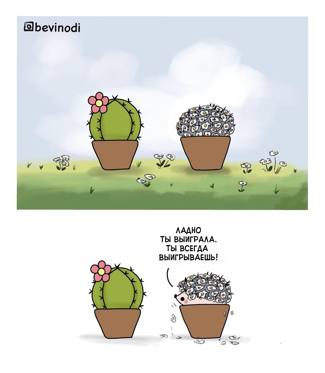 Hedgehog and cactus - Bevinodi, Comics, Hedgehog, Cactus, Longpost