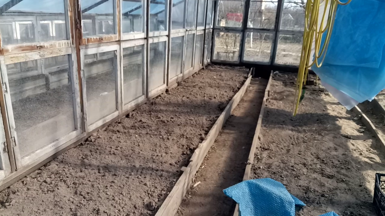 Greenhouse from windows - My, Greenhouse, Homemade, Window, Longpost