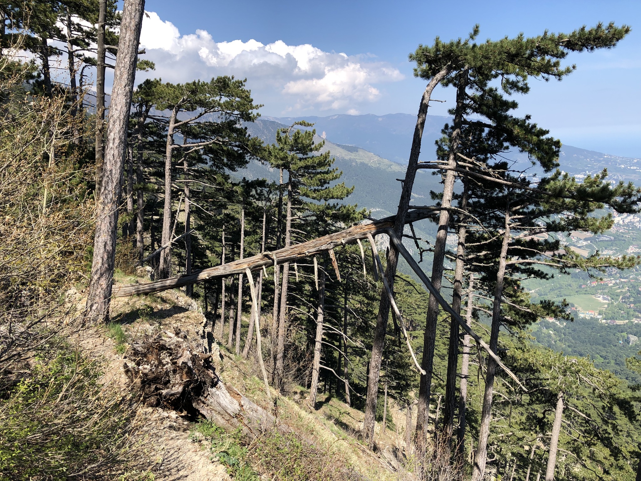 Крым 2019. День 10. Таракташ и крутая тропа - Моё, Крым, Таракташ, Ай-Петри, Поход, Горы, Море, Мат, Длиннопост