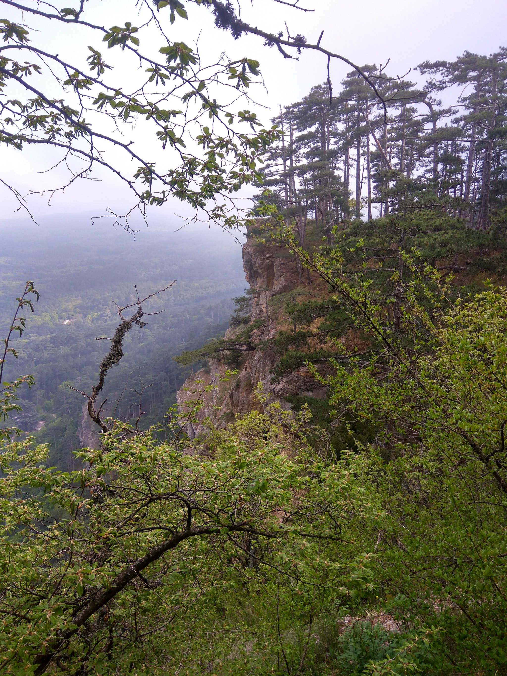 Crimea 2019. Day 10. Taraktash and a steep path - My, Crimea, Taraktash, Ai-Petri, Hike, The mountains, Sea, Mat, Longpost