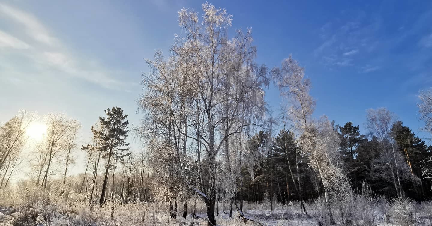 How a friend of mine assessed the cleanliness of the air in the suburbs of one of the 12 dirtiest cities in Russia - My, Ecology, Village, Village, Health, Healthy lifestyle