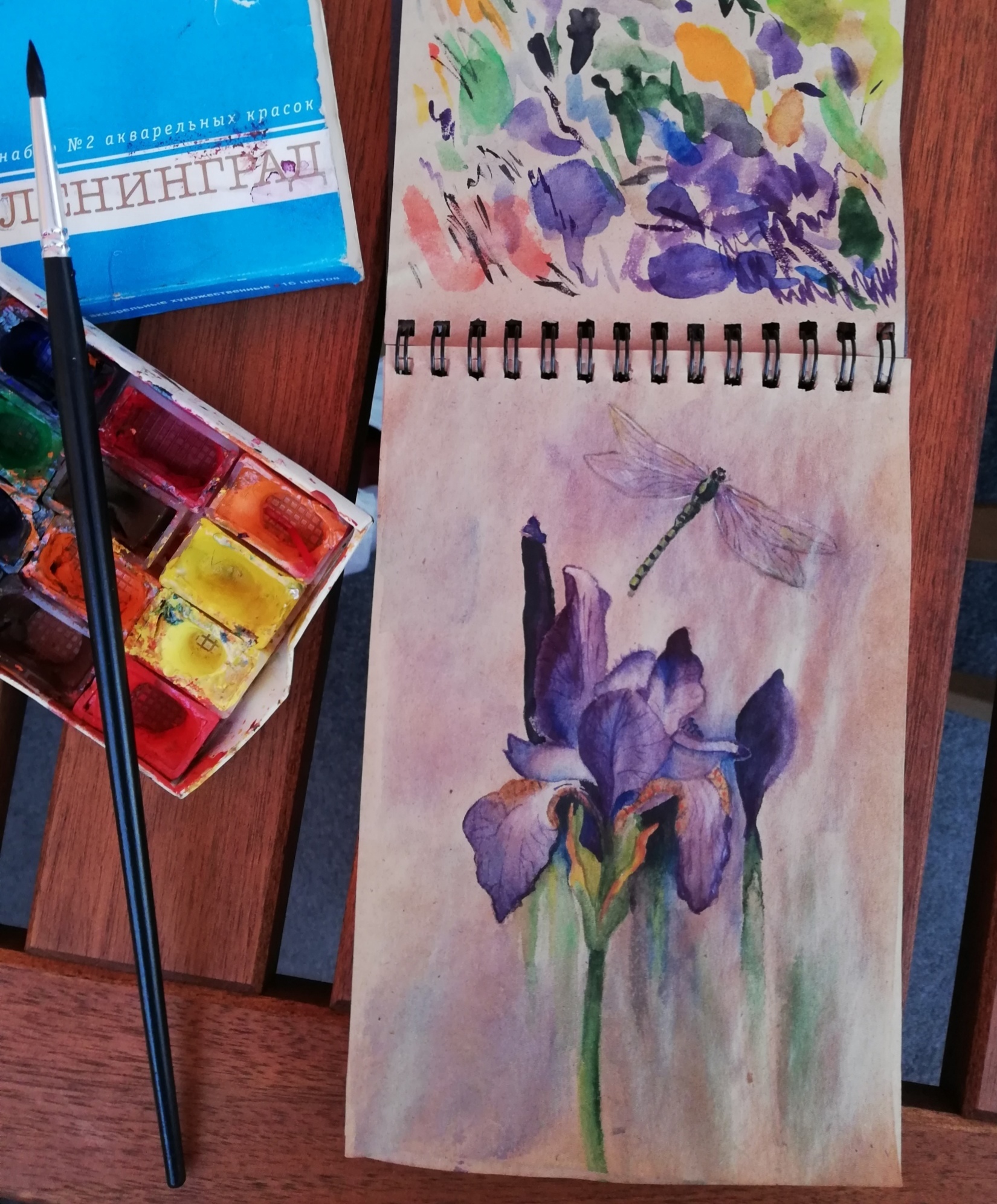 Iris - My, Drawing, Watercolor, Sketchbook