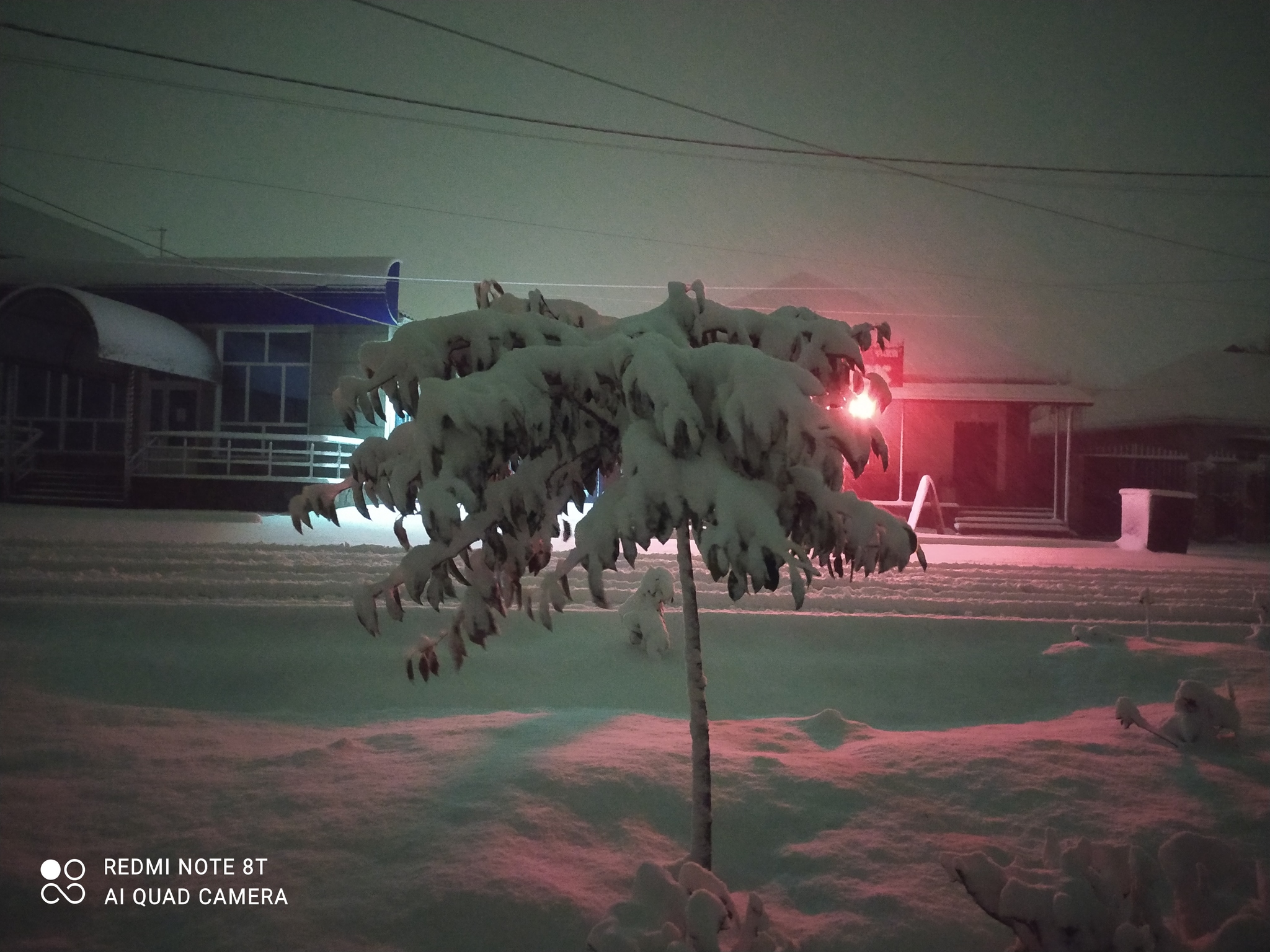 When winter moved like a slipper through autumn... - My, Stavropol region, Winter, Bad without light, Longpost