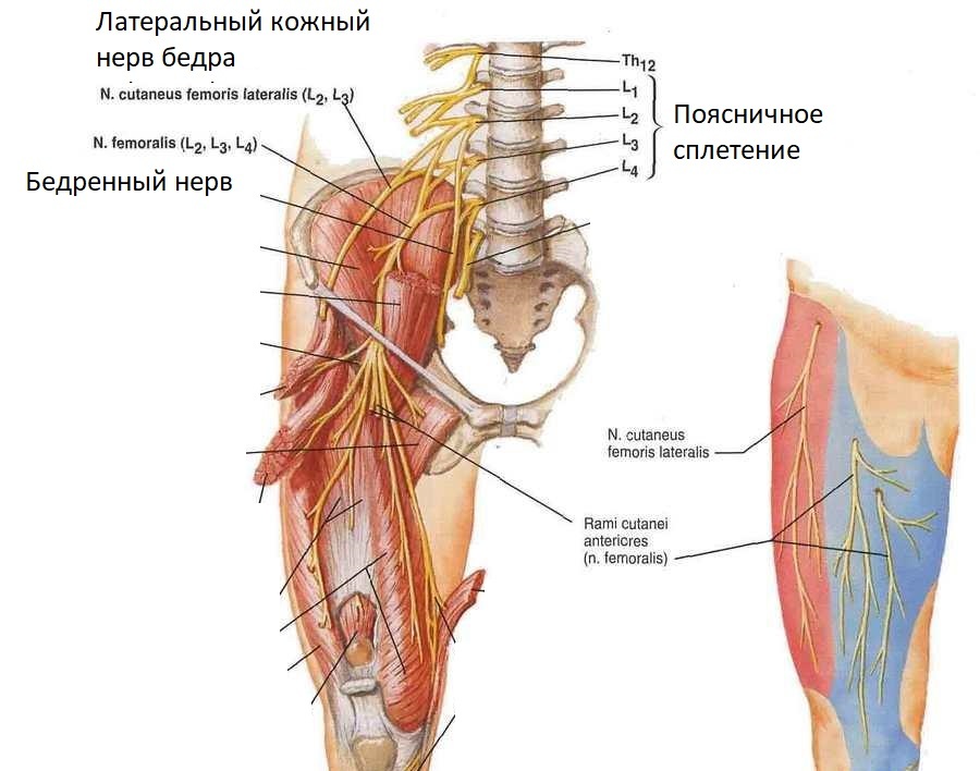 Supratelarni bursitis koljena: simptomi i liječenje