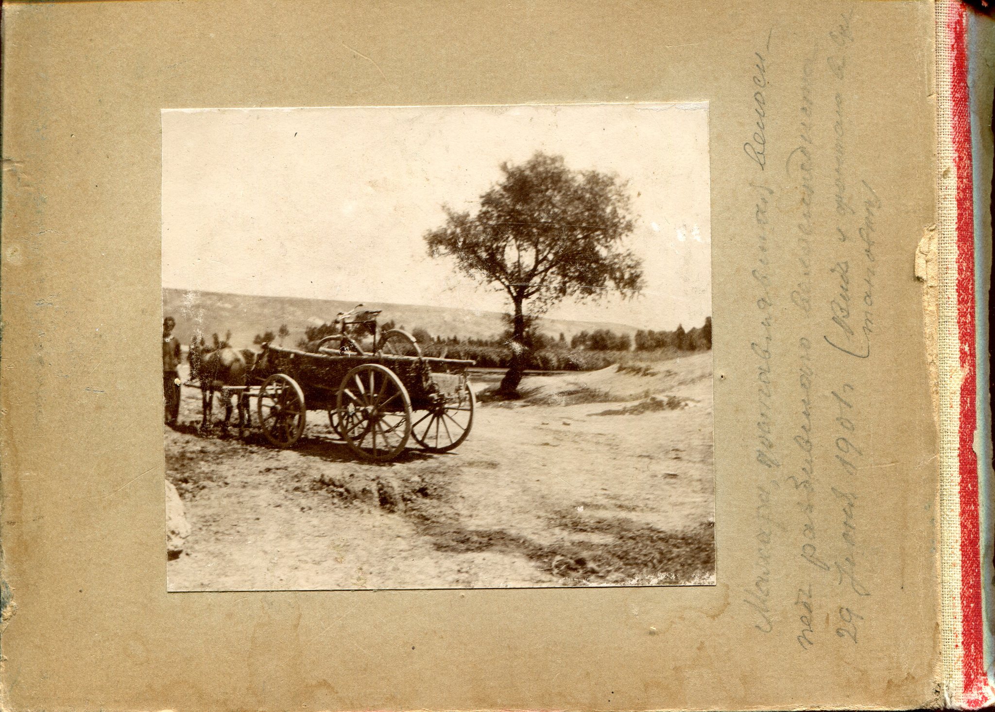 Feodosia 10x7. Find from 1901 - My, The photo, Story, Crimea, Feodosia, Find, Российская империя, Longpost