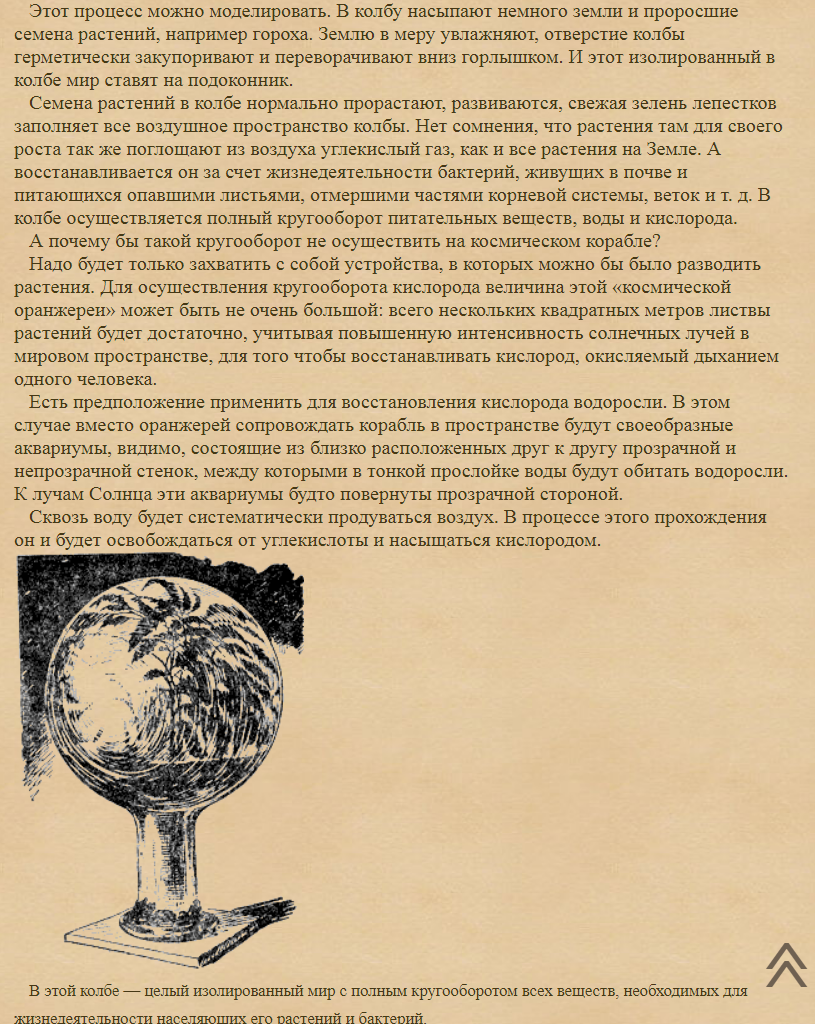 Ответ на пост «"Замкнутая" экосистема своими руками» Пикабу