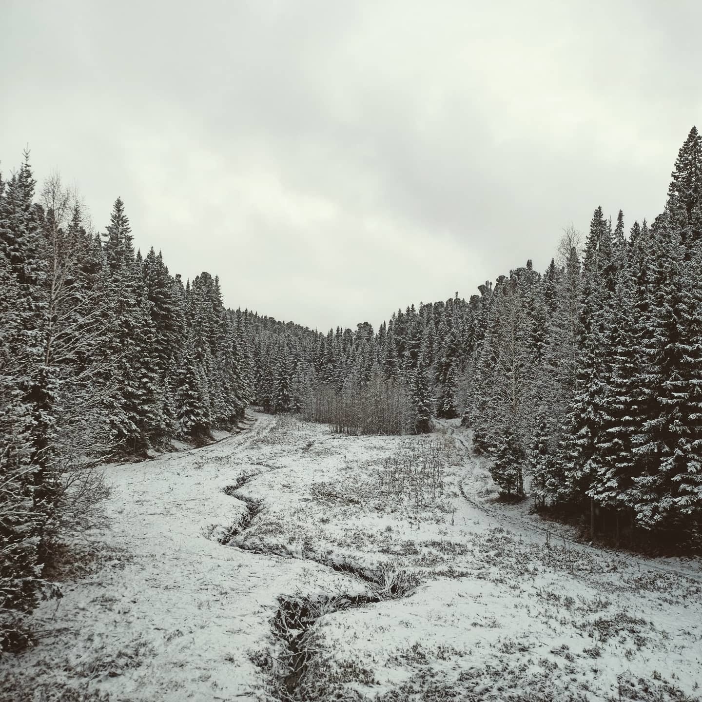 Autumn walks 10 - My, Autumn, Mobile photography, Khanty-Mansiysk, Nature, Longpost, The photo