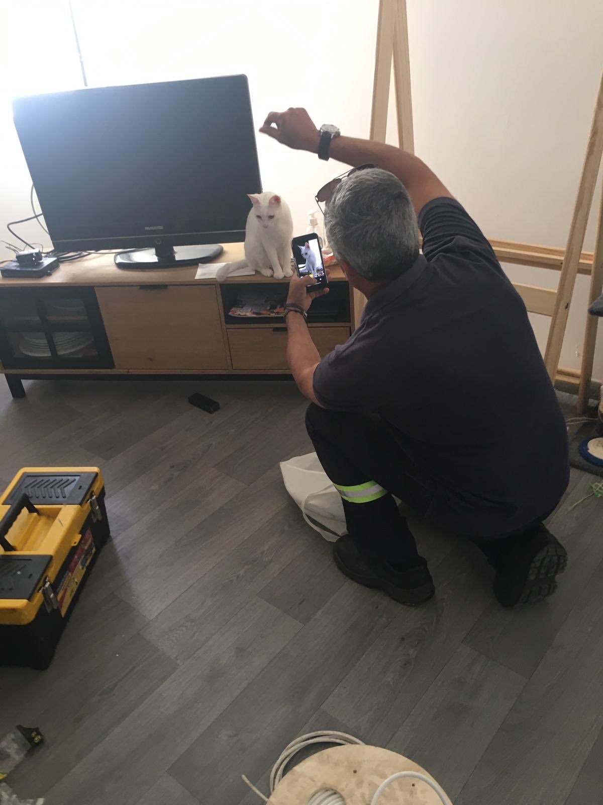 “Today a master came to see me to install a cable and I found him doing something like this. I left a positive review” [catism] - cat, White, Telemaster, Selfie, In contact with, Longpost