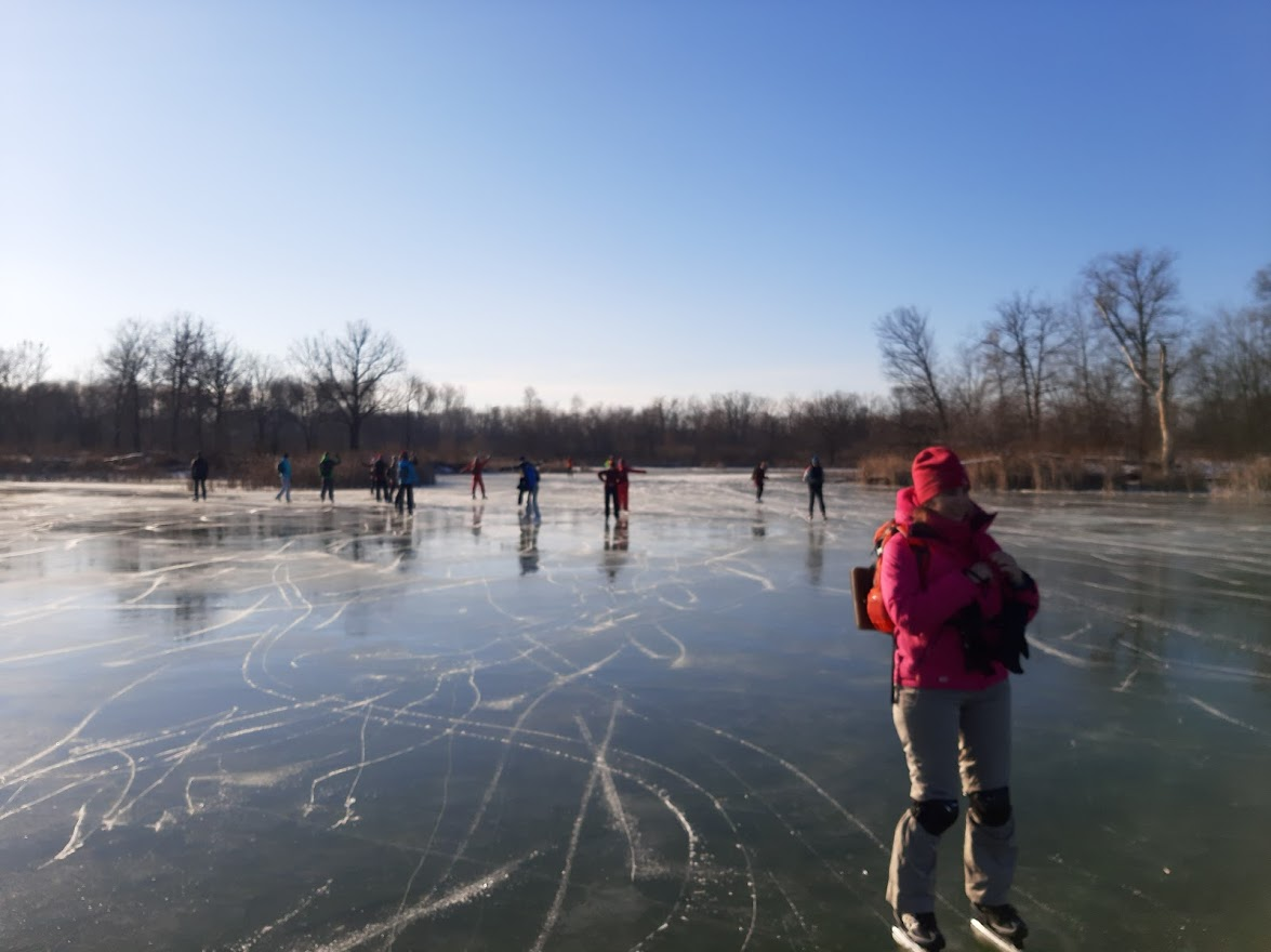 Along the channels on skates - My, Samara, Skates, Longpost