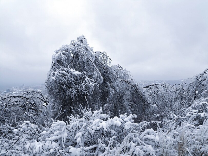 Vladivostok now - Vladivostok, Cyclone, Longpost