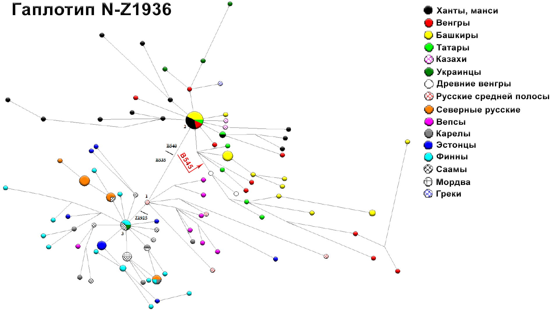 Origin of the Hungarians and the Ural region. History of the Magyars, new genetic data - My, The science, Story, Population genetics, Longpost, Hungarians, Southern Urals, DNA, Video, GIF