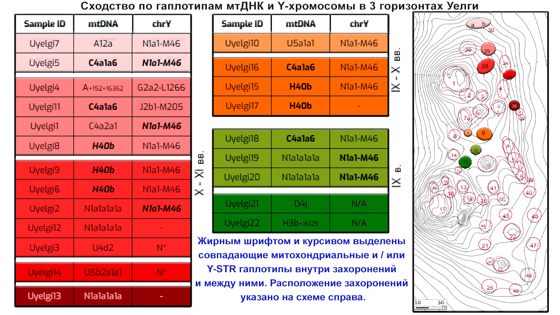 Origin of the Hungarians and the Ural region. History of the Magyars, new genetic data - My, The science, Story, Population genetics, Longpost, Hungarians, Southern Urals, DNA, Video, GIF