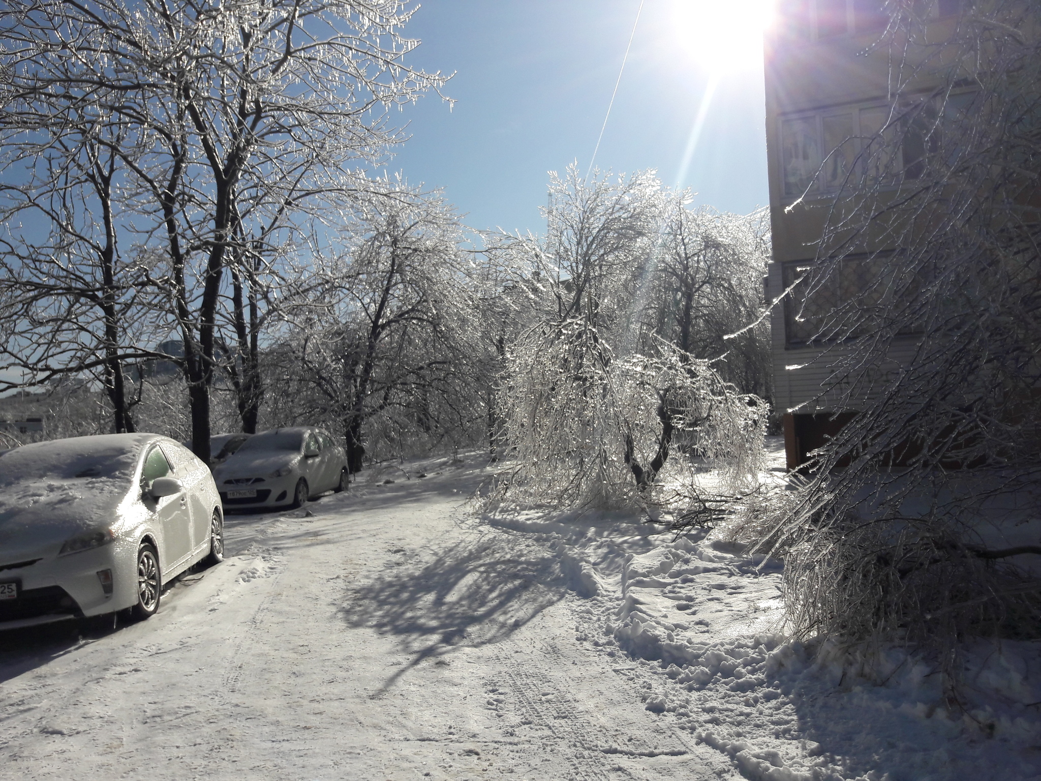 The deadly beauty of glass cities - My, Freezing rain, Vladivostok, Snow, Winter, Long, Icicles, Longpost