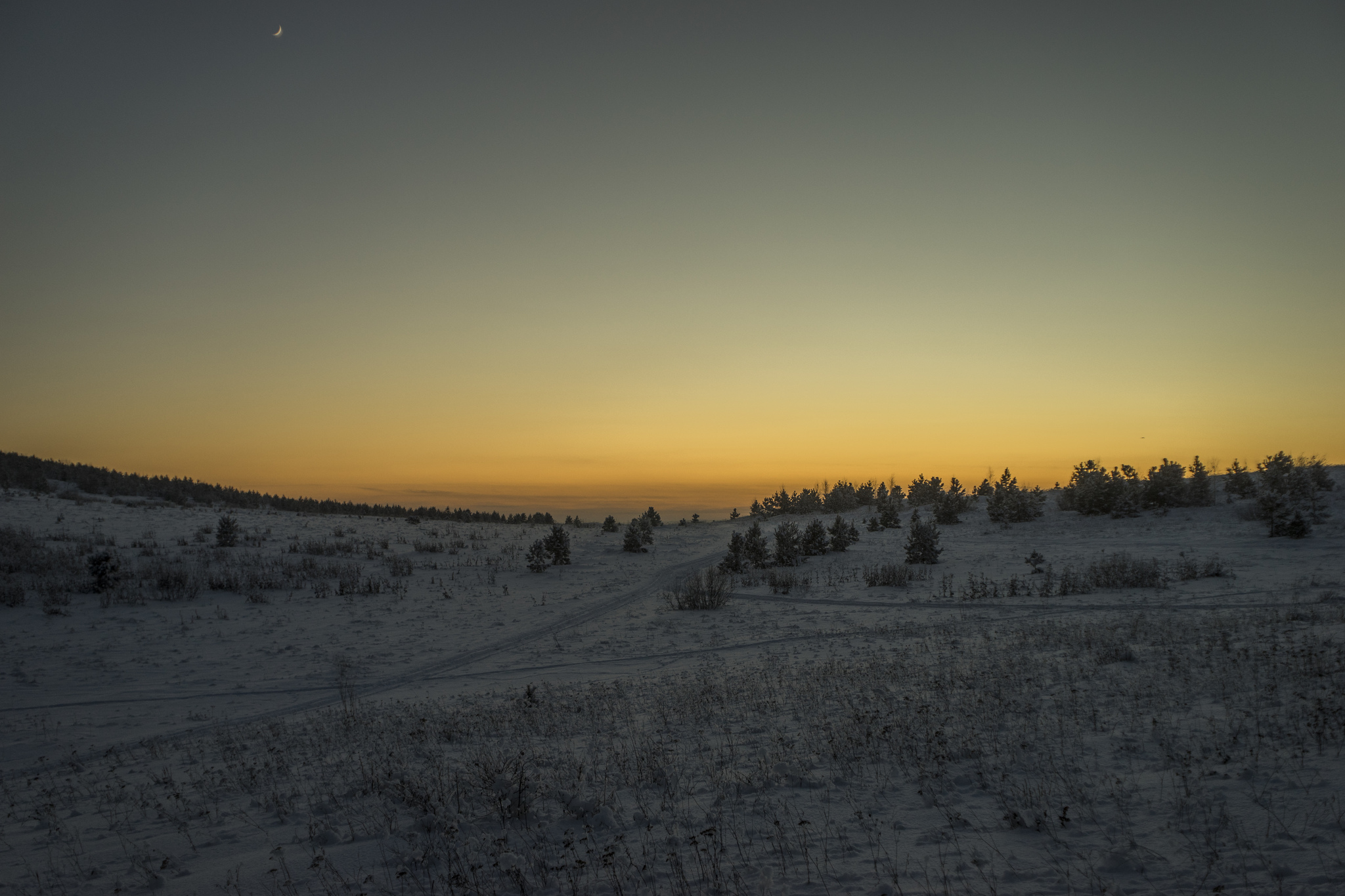 Winter evening in the Urals - My, Winter, Sunset, Ural, Ust-Katav, The mountains, Horses, Forest, Longpost, The photo