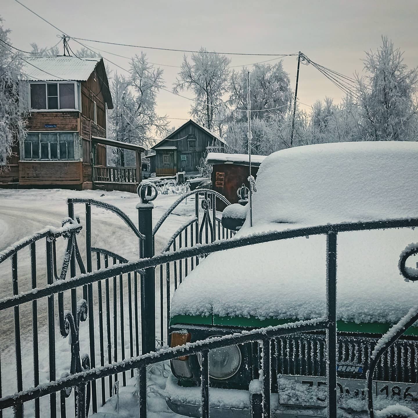 Осенние прогулки 11 - Моё, Мобильная фотография, Ханты-Мансийск, Кот, Осень, Длиннопост, Фотография