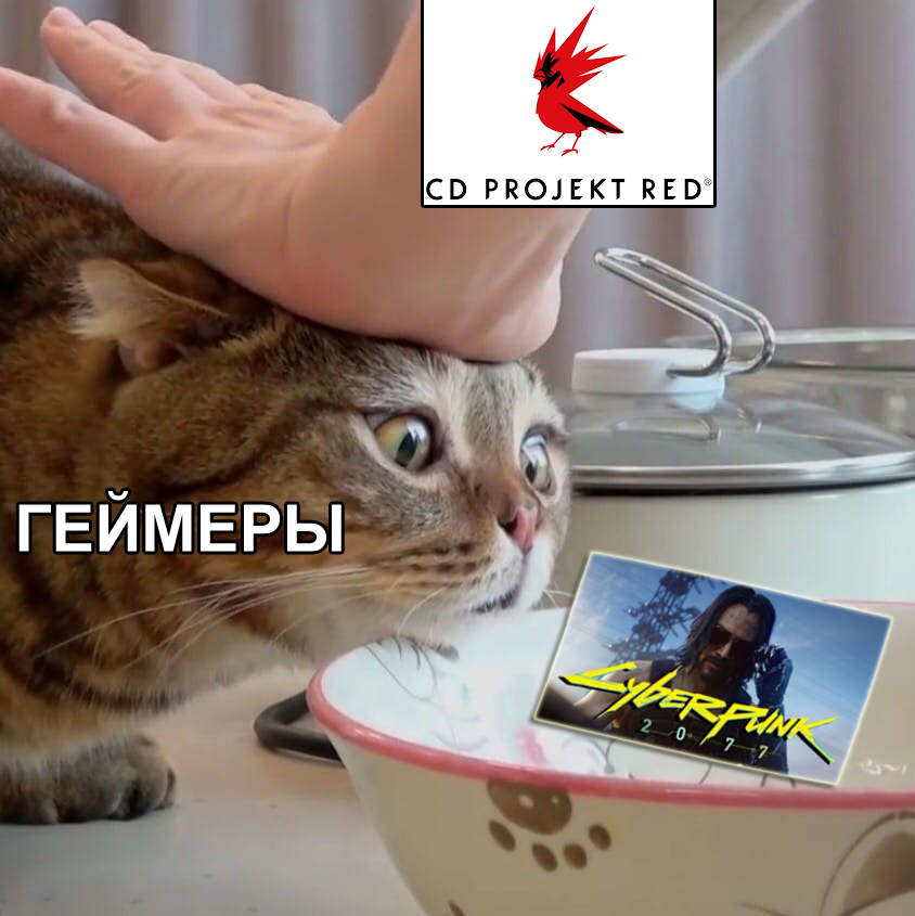 Don't touch it, it's for the New Year! - My, Cyberpunk 2077, CD Projekt, Computer games, cat