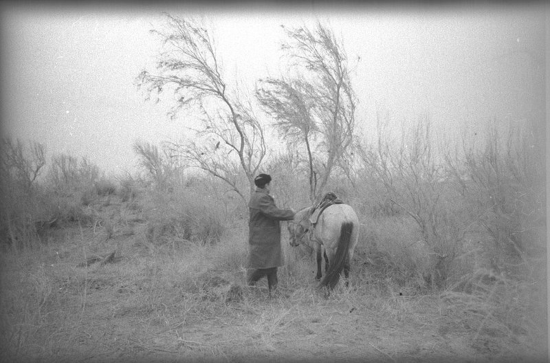 History of the USSR in photographs No. 192 - Story, The photo, A selection, Retro, the USSR, Longpost, Black and white photo