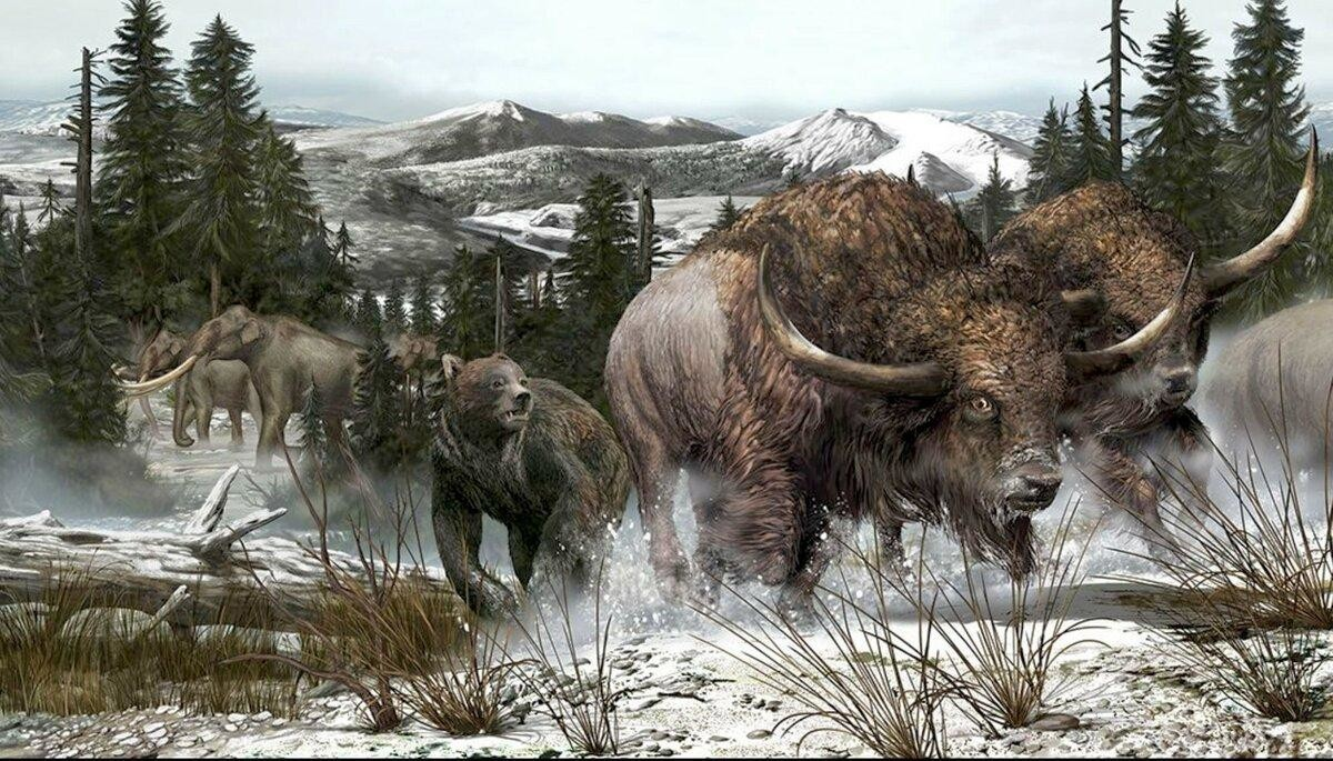 Giant short-faced bear: Titan that could kill a mammoth - The Bears, Extinct species, Nature, GIF, Longpost