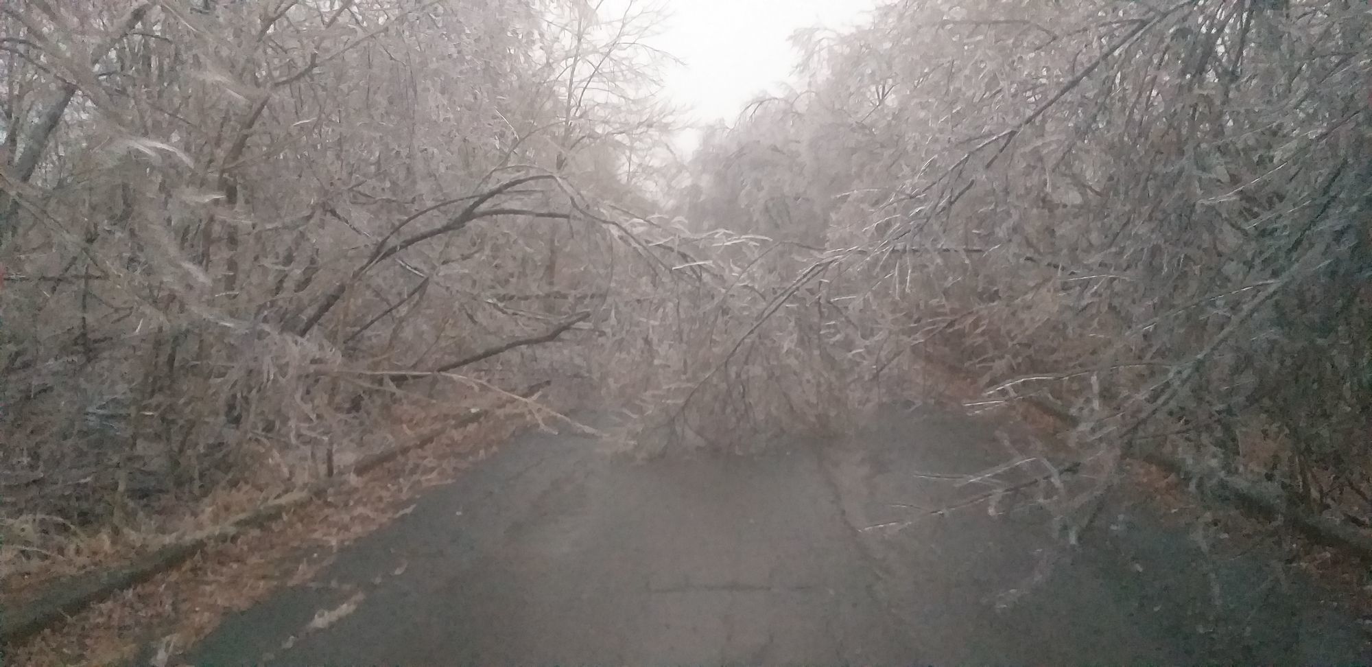 Icy Vladivostok - My, Vladivostok, Element, Weather, Icing, Ice, Longpost