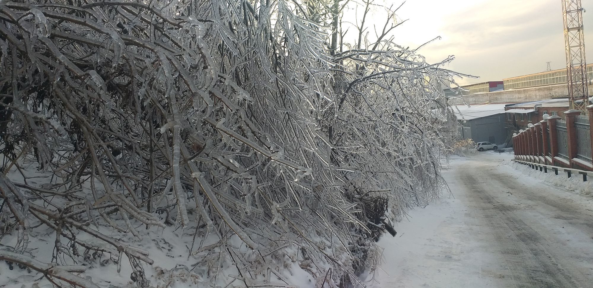 Icy Vladivostok - My, Vladivostok, Element, Weather, Icing, Ice, Longpost