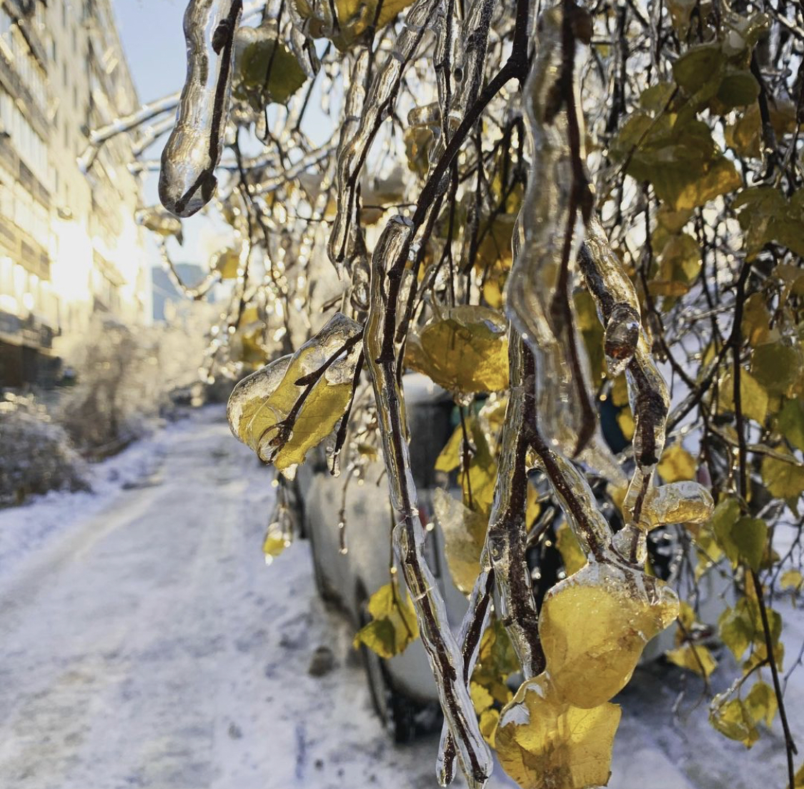 Vladivostok in the ice - My, Winter, Vladivostok, Longpost