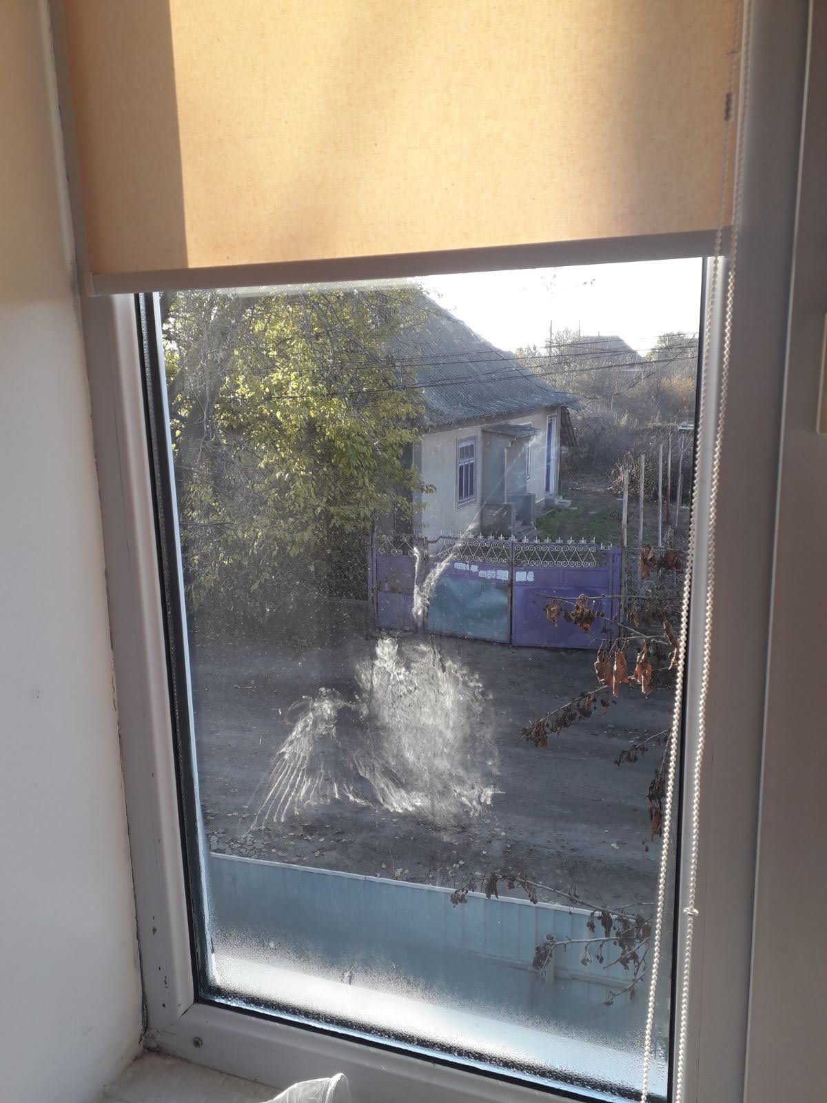 When you haven't had coffee in the morning... - My, Pigeon, Window, The photo, Fail