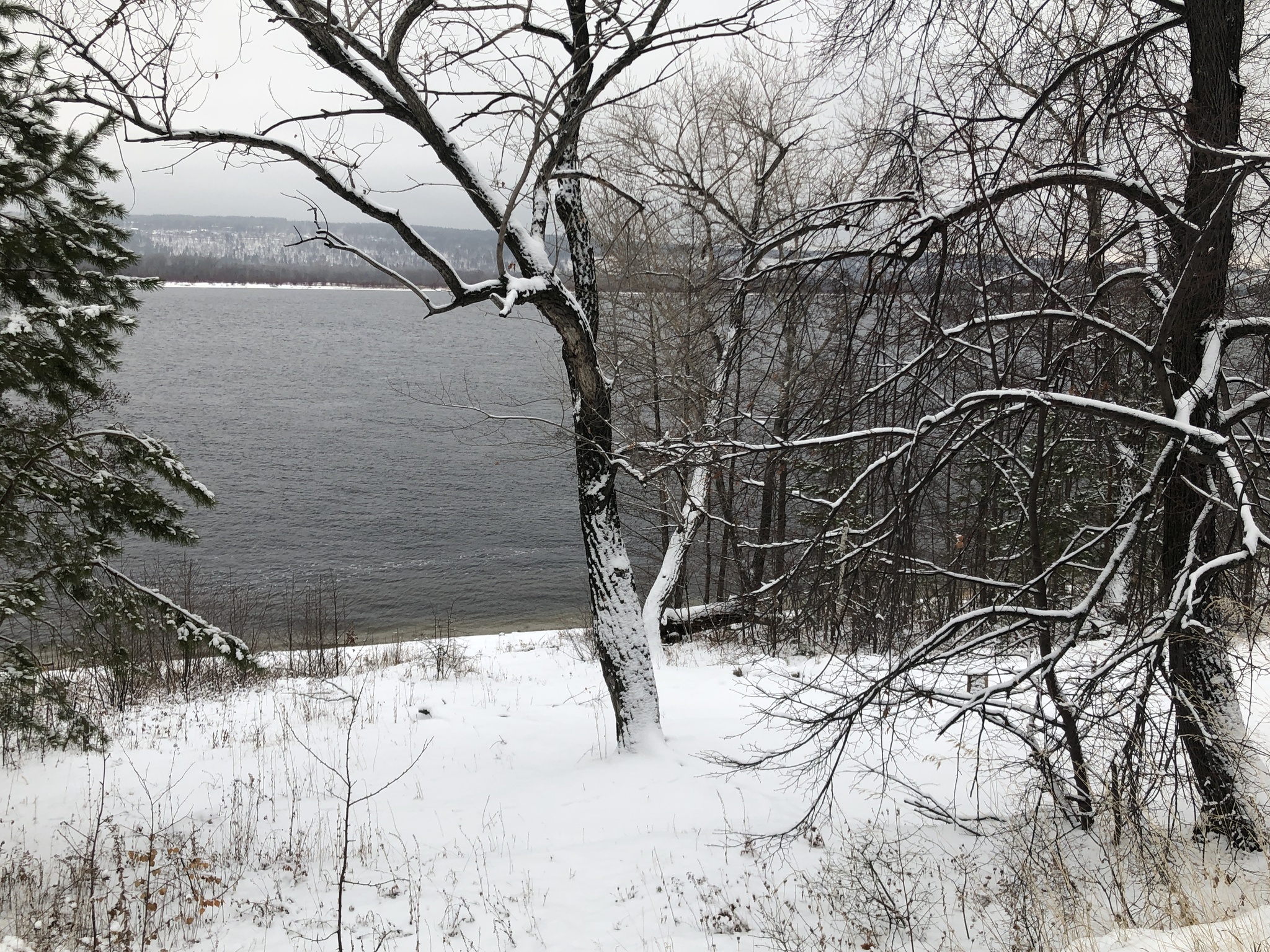 Winter walk: Volga on the right, Zhiguli on the left - My, Nature, Winter, Walk, Zhiguli, Dog, Video, Longpost, Volga river