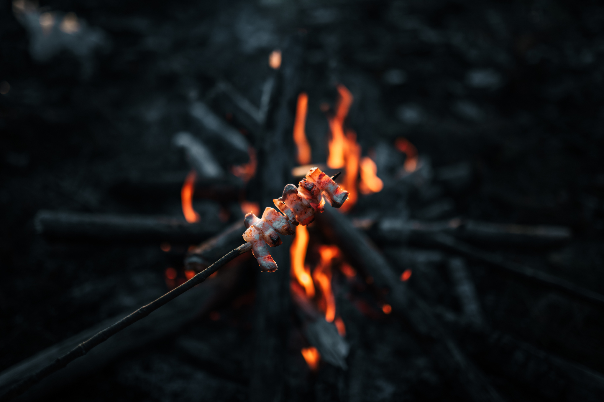 Forest rest - My, Hike, Bonfire, Food, Preparation, Salo, Tea, Forest, The photo, Nature, Fire, Kitchen, Thermos, Longpost