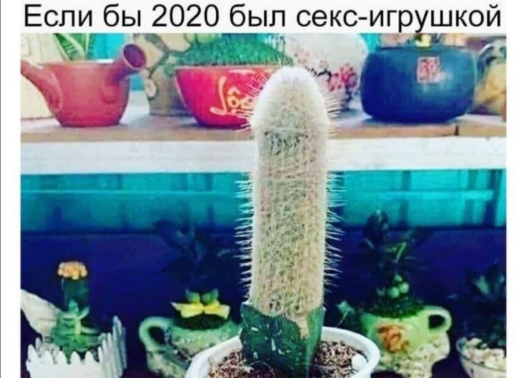 Если бы 2020 был секс-игрушкой | Пикабу