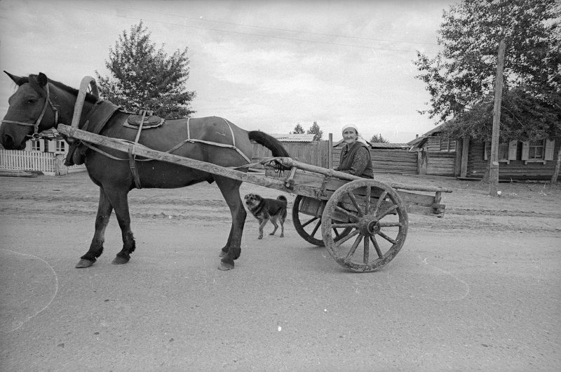 History of the USSR in photographs No. 196 - Story, The photo, A selection, Retro, the USSR, Longpost, Black and white photo