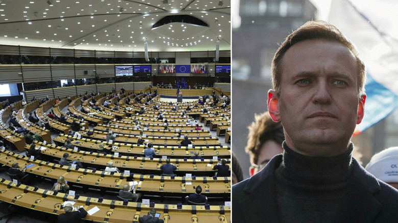 What the opposition told the European Parliament - My, Politics, European Parliament, Alexey Navalny, Opposition, Russia