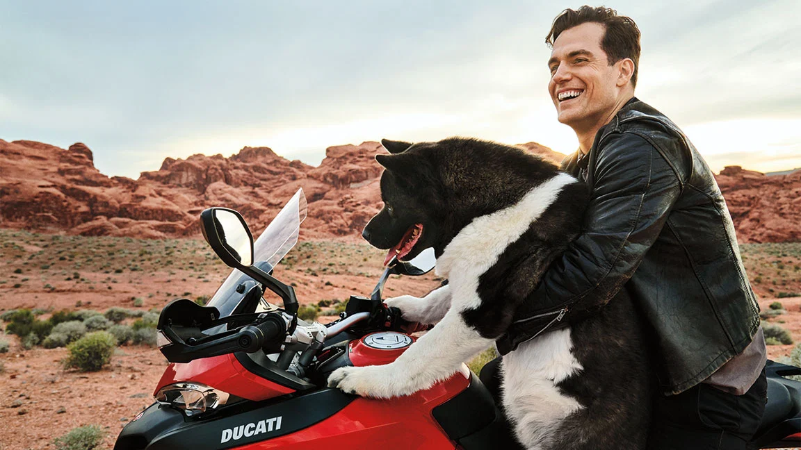 Henry Cavill and his super dog Kal-El - Henry Cavill, Dog, American Akita, The photo, Animals, Actors and actresses, beauty, Milota, GIF, Longpost, Celebrities