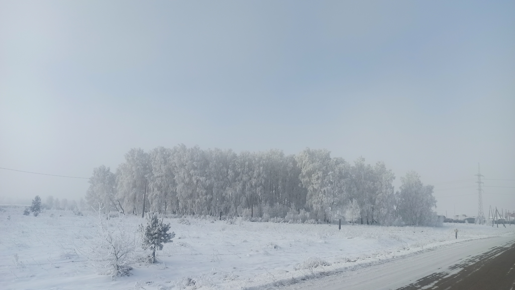 Морозное утро - Моё, Мобильная фотография, Иней, Фотография, Зима, Длиннопост