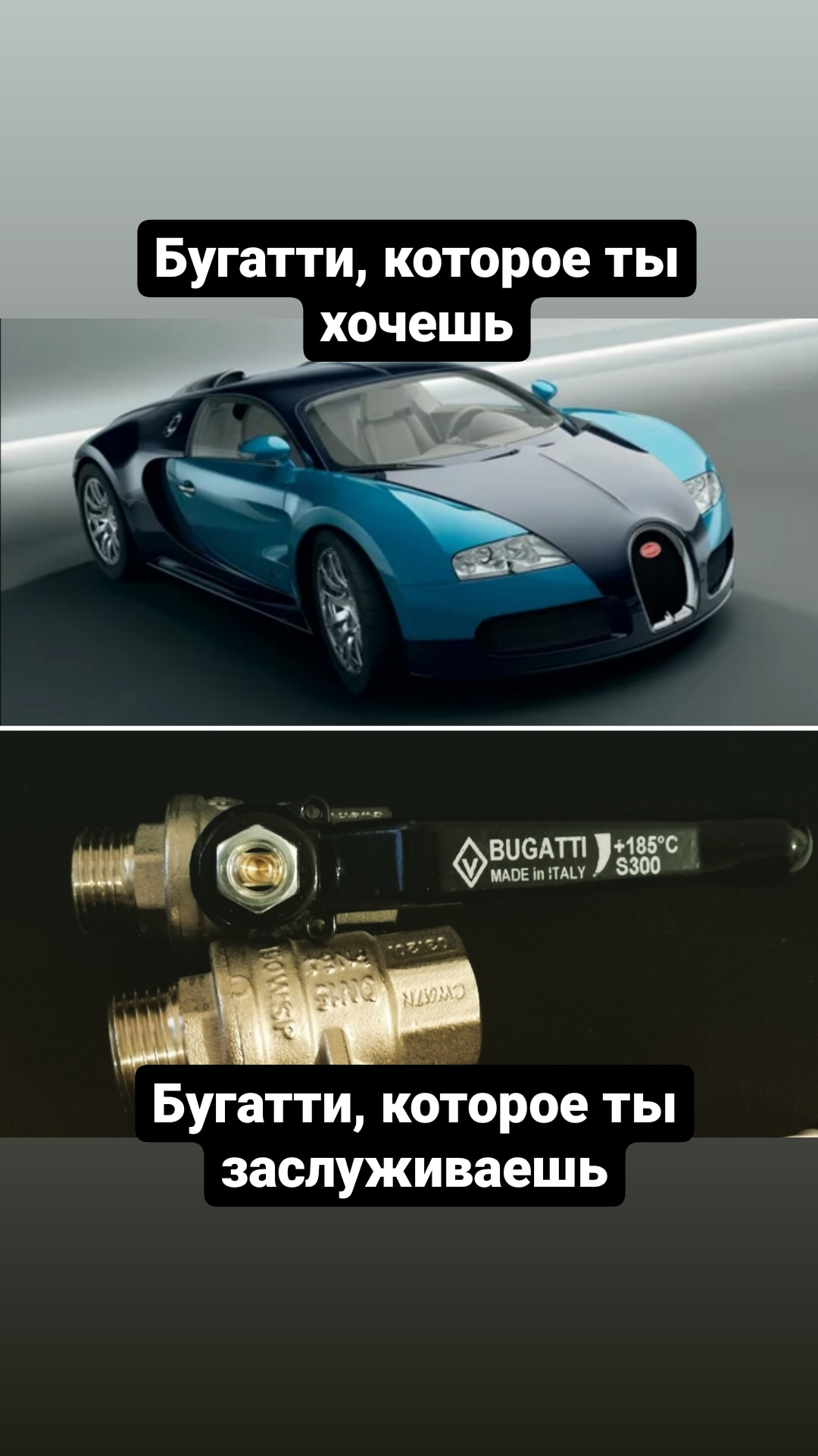 Reply to the post “Almost no difference :)” - My, Humor, Picture with text, Car, Dog, Jaguar, Reply to post