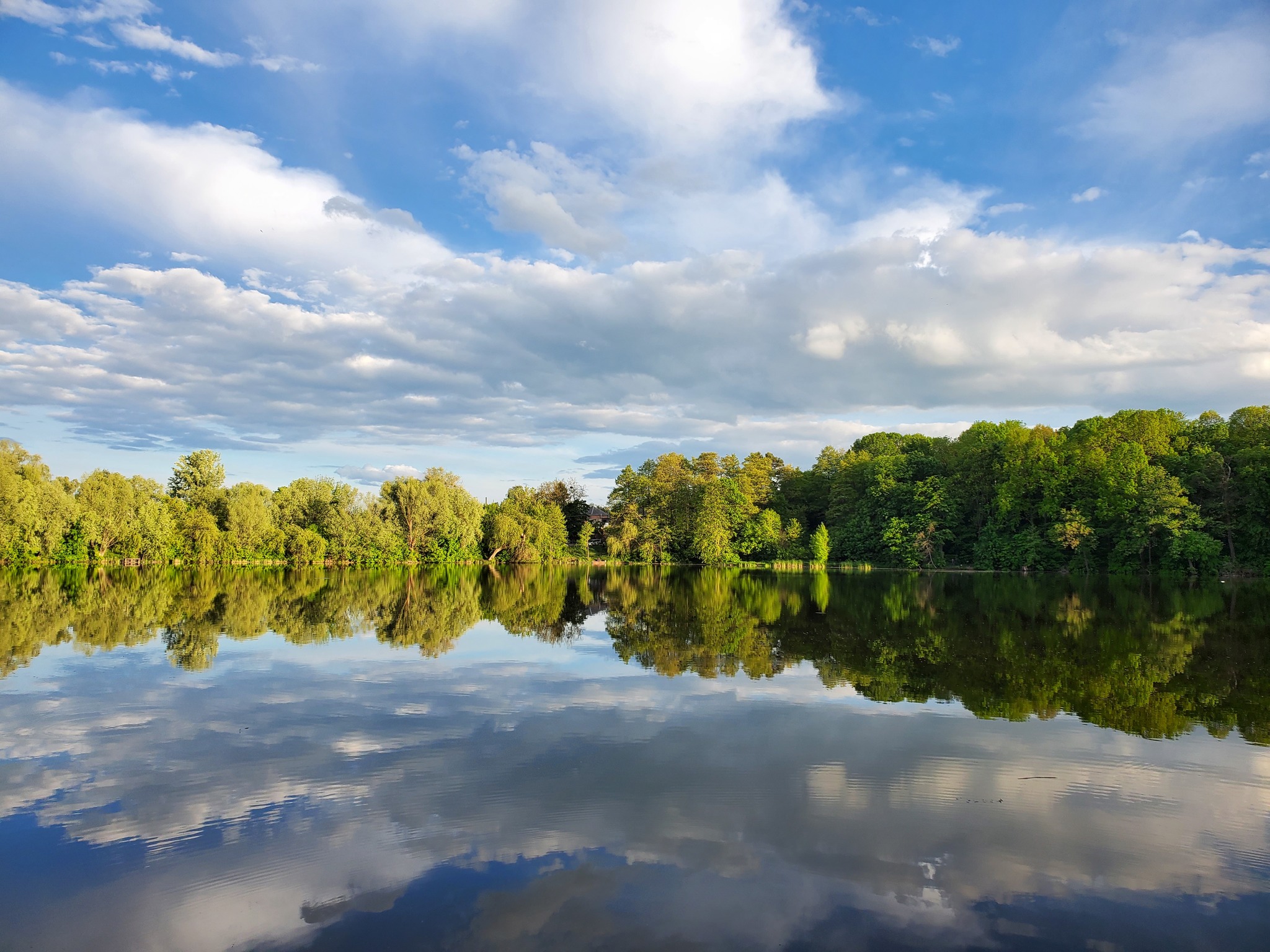 Several nature photos from cycling trips - My, A bike, Nature, beauty of nature, Longpost, The photo, Kharkiv Oblast