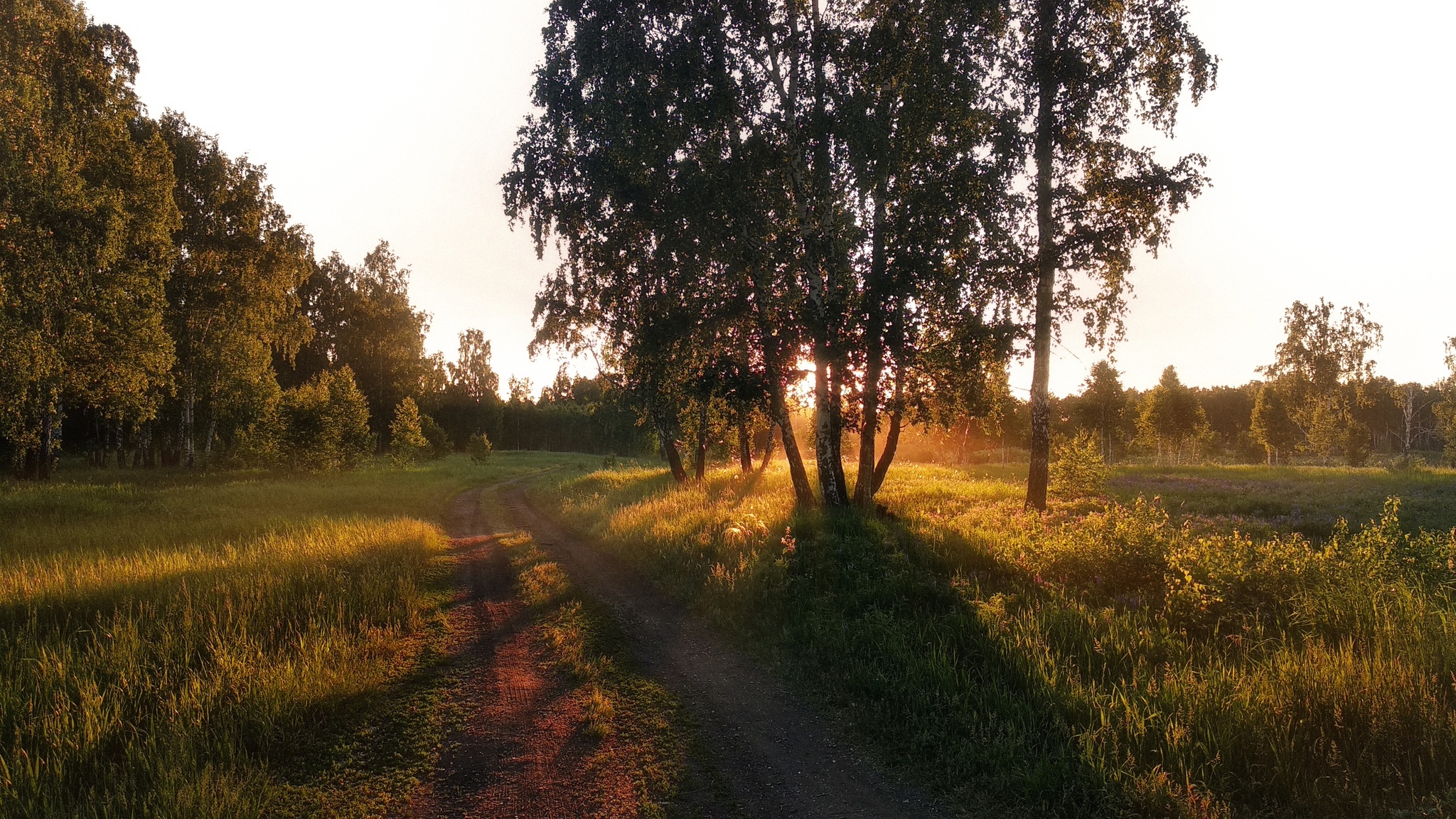 Telephone - My, The photo, Mobile photography, Nature, Chelyabinsk region, Photographer, Longpost