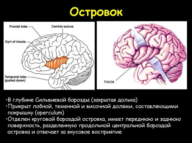 Мифы и факты о тренировке мозга с помощью смартфона