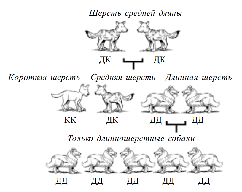 Пользуясь рисунком 123 объясните как образуется тень физика 8 класс