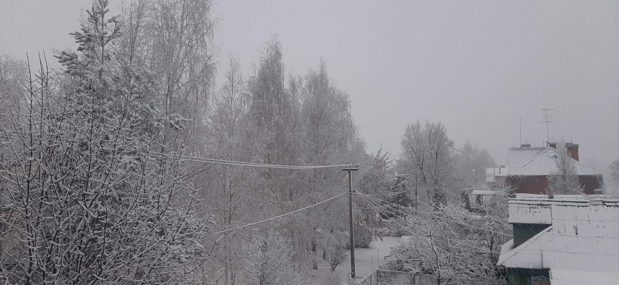 First day of winter! - My, Winter, Snow, Wedge, December