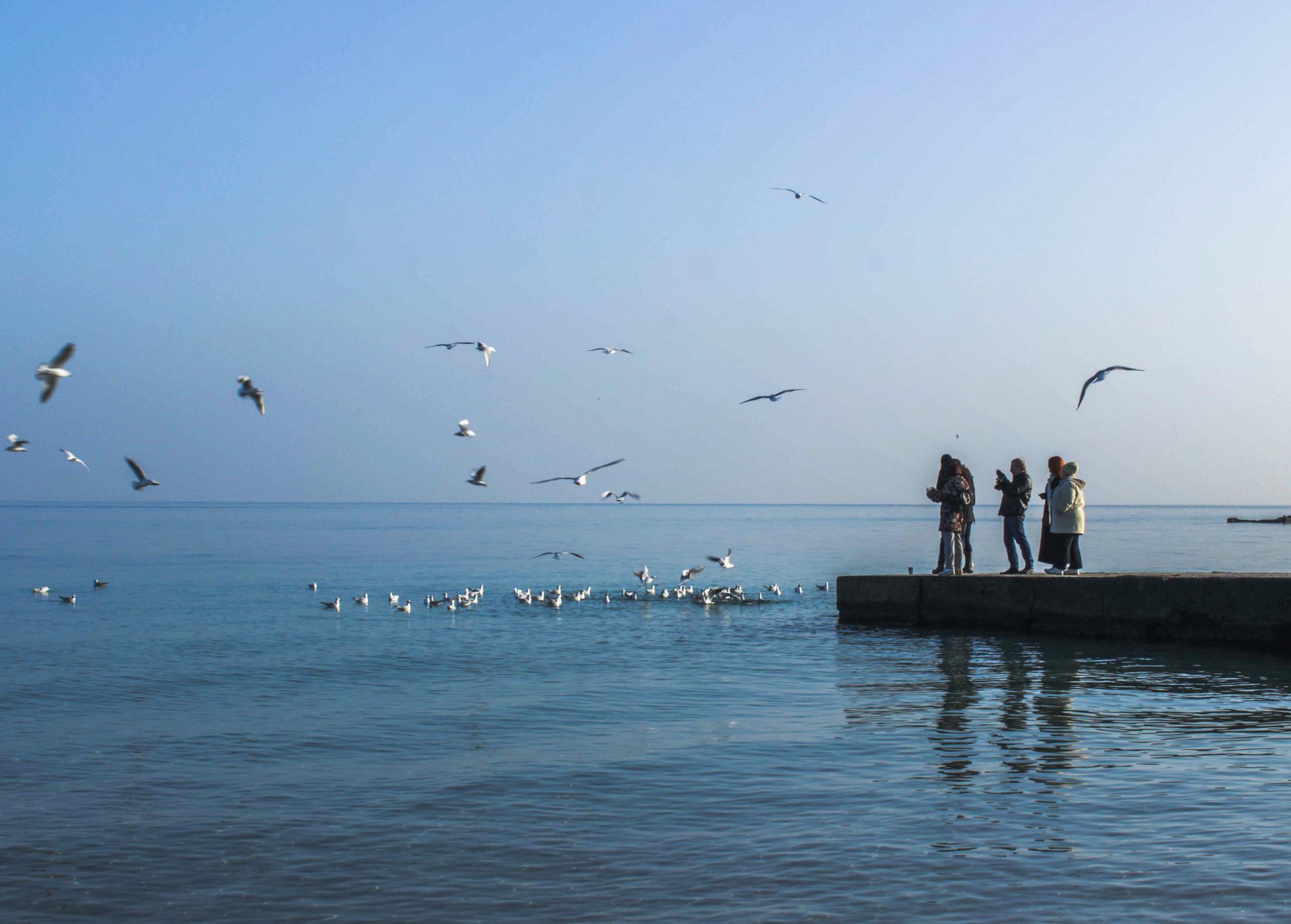 Просто море люблю - Моё, Море, Фотография, Чайки, Длиннопост