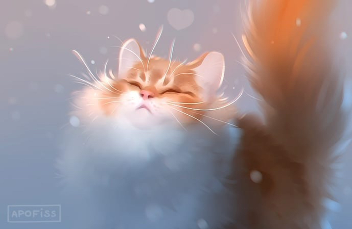 First snow - Apofiss, cat, Snow, Art