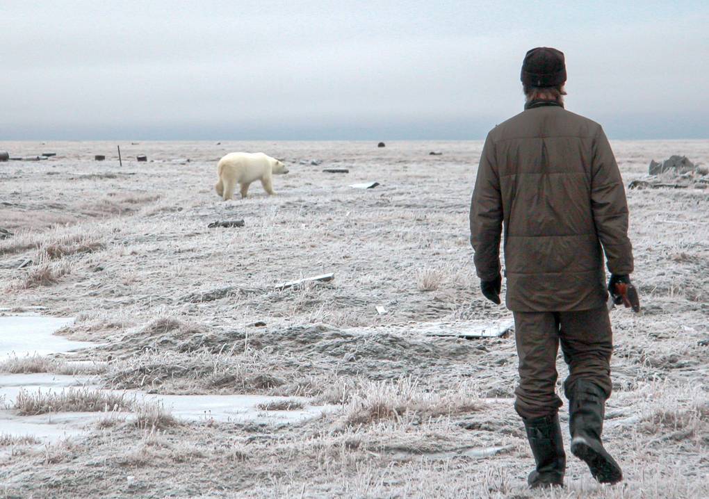 I'm not parting with my gun. How they live and work in Russia's northernmost nature reserve - My, Wrangel Island, North, Chukotka, Travel across Russia, Longpost