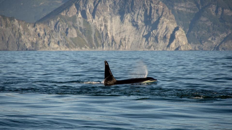 Best photo report 2020 according to the TV channel My Planet - Kurile Islands, Travels, Russia, Travel across Russia, Nature, Longpost