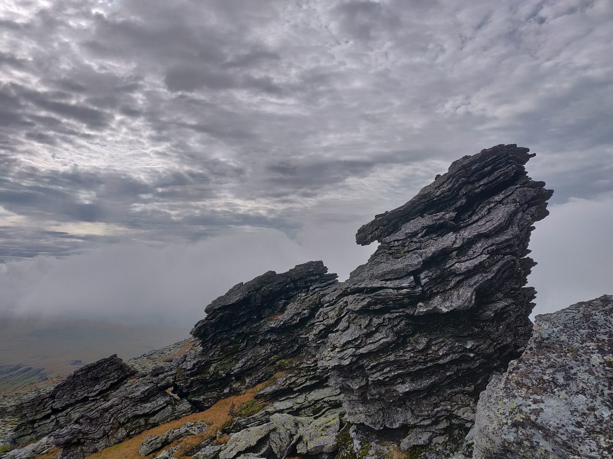 Northern Urals in the Dyatlov Pass area - My, Hike, The photo, Northern Ural, Nature, The mountains, Dyatlov Pass, Longpost