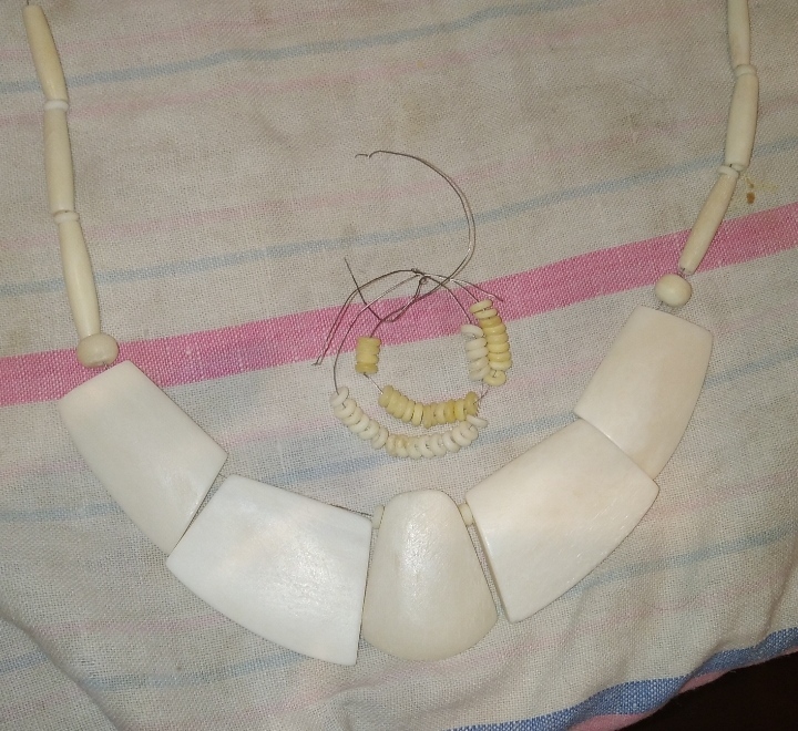 Whitening bone jewelry at home - My, Bones, Bleach, Experiment, cat, Longpost