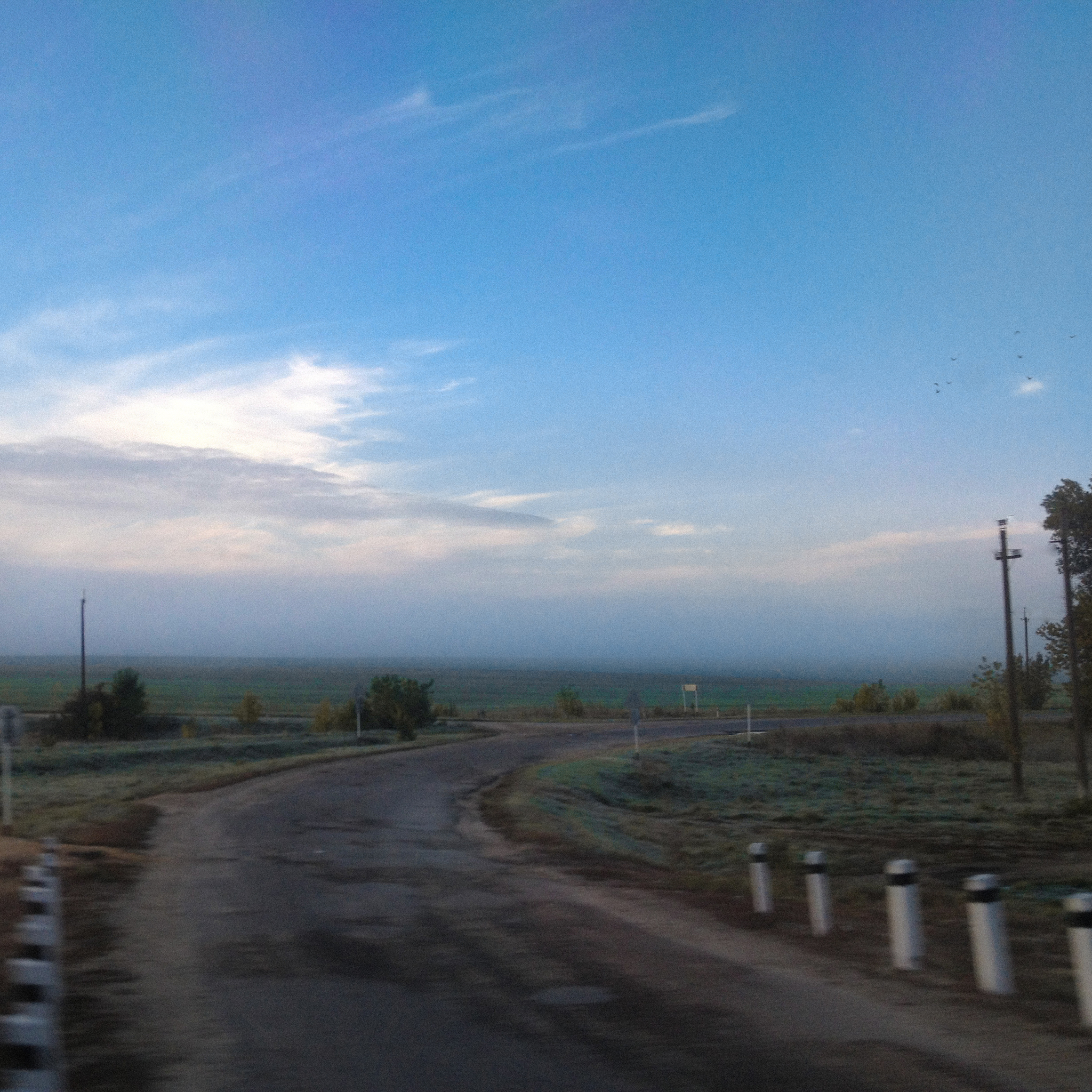 Road - My, Mobile photography, Morning, Landscape, Road