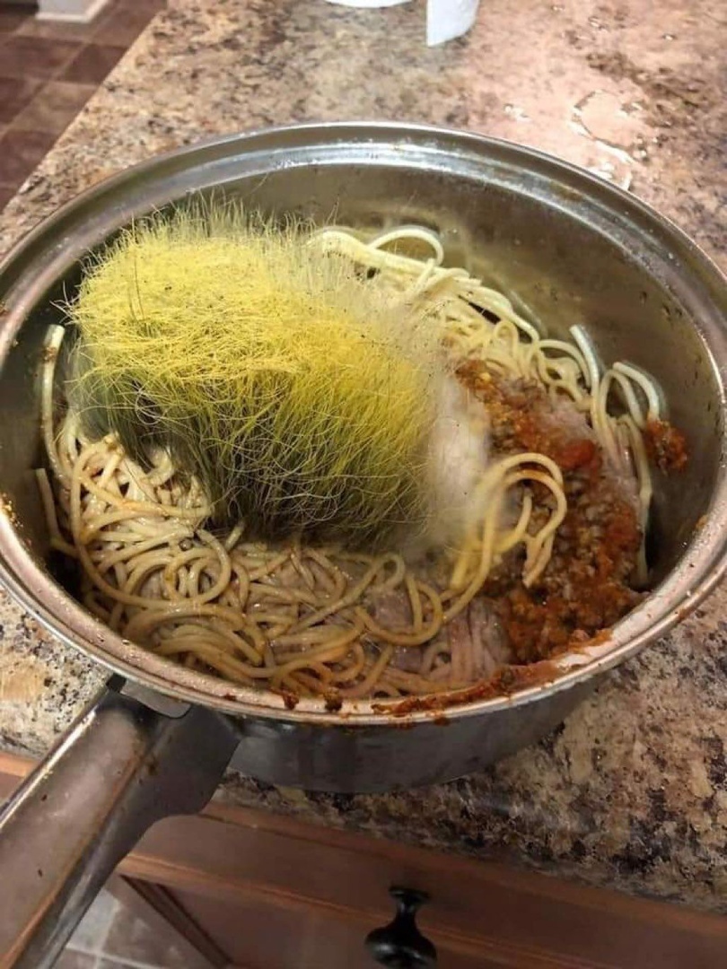 Michelin 5 stars - Food, Michelin stars, Spaghetti, Mold, The photo