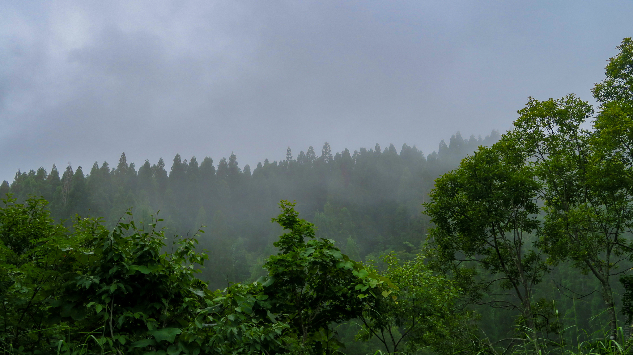 Day eight. The goal has been achieved. Shirakawa-go - My, Japan, Cyclist, Travels, Longpost, Shirakawa