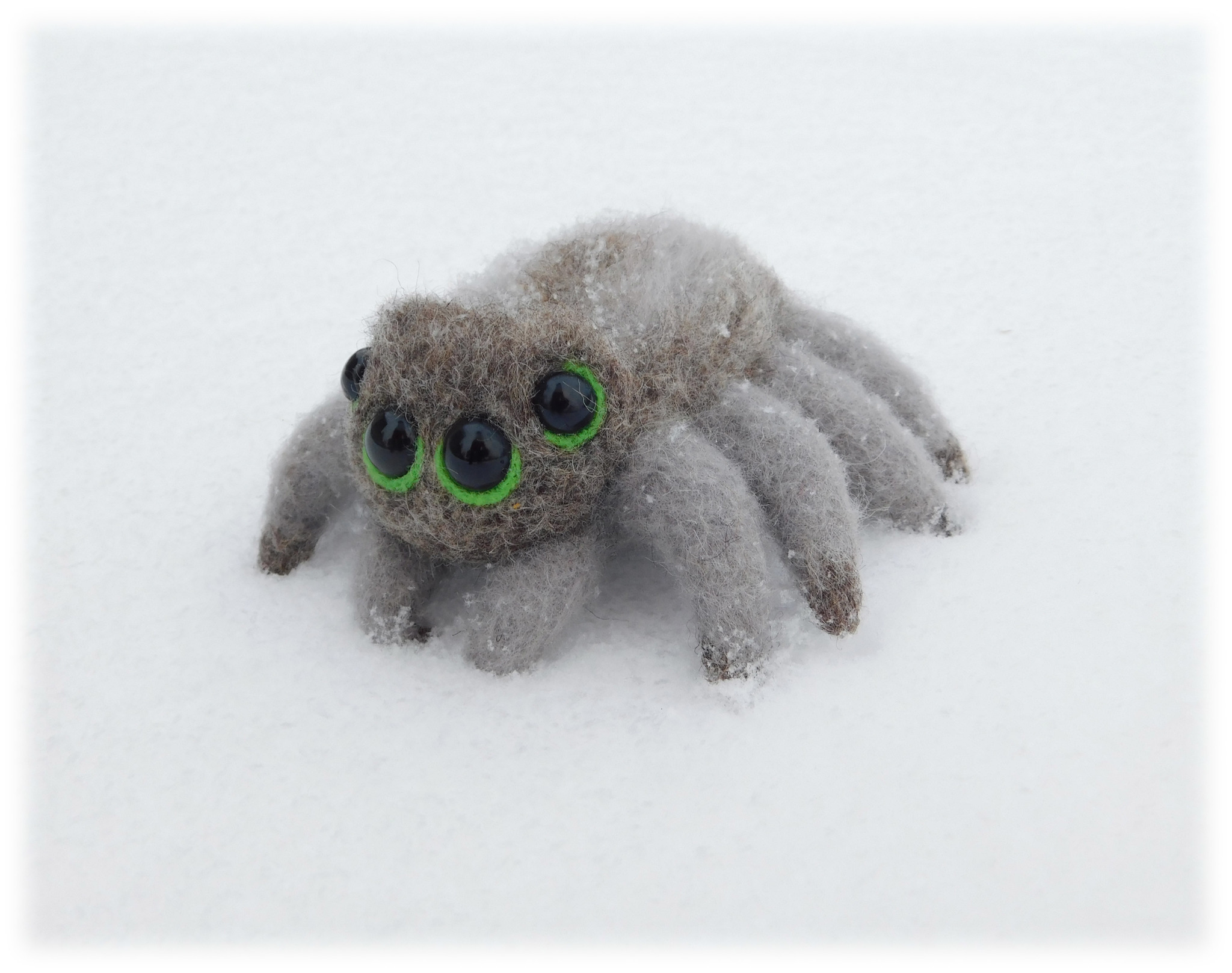 Spider - My, Needlework without process, Dry felting, Spider, Author's toy, Wool, Dlninopost, Longpost